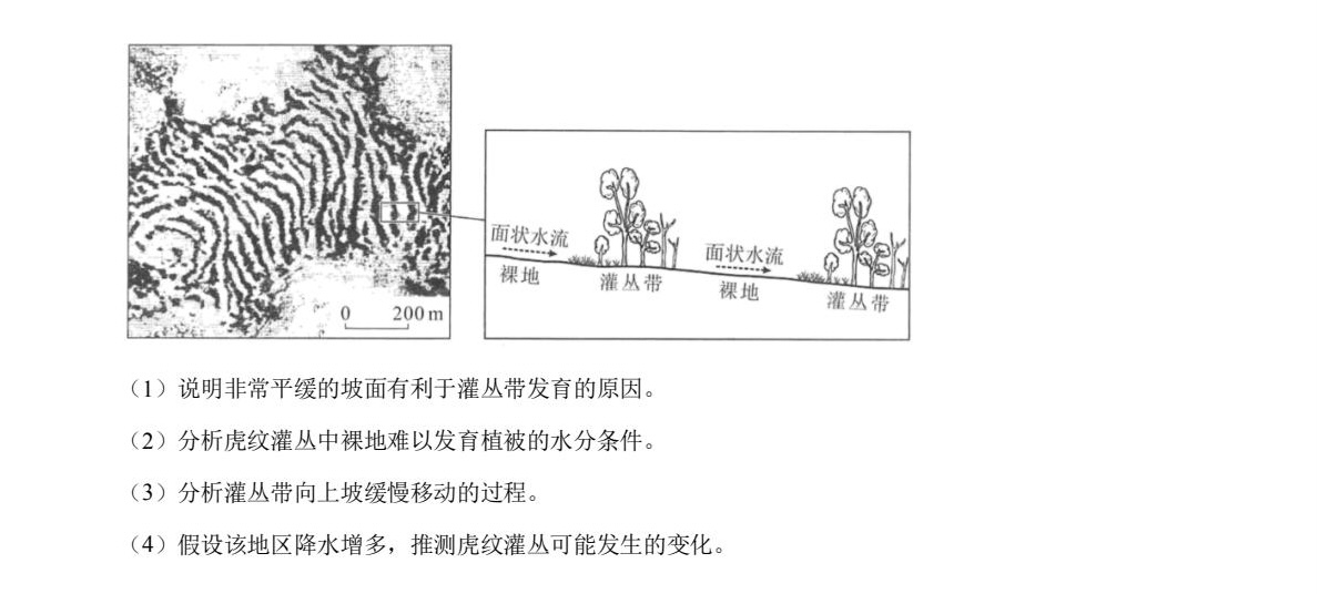 2025¸߿ԇ}𰸽c}ͼֲֵ