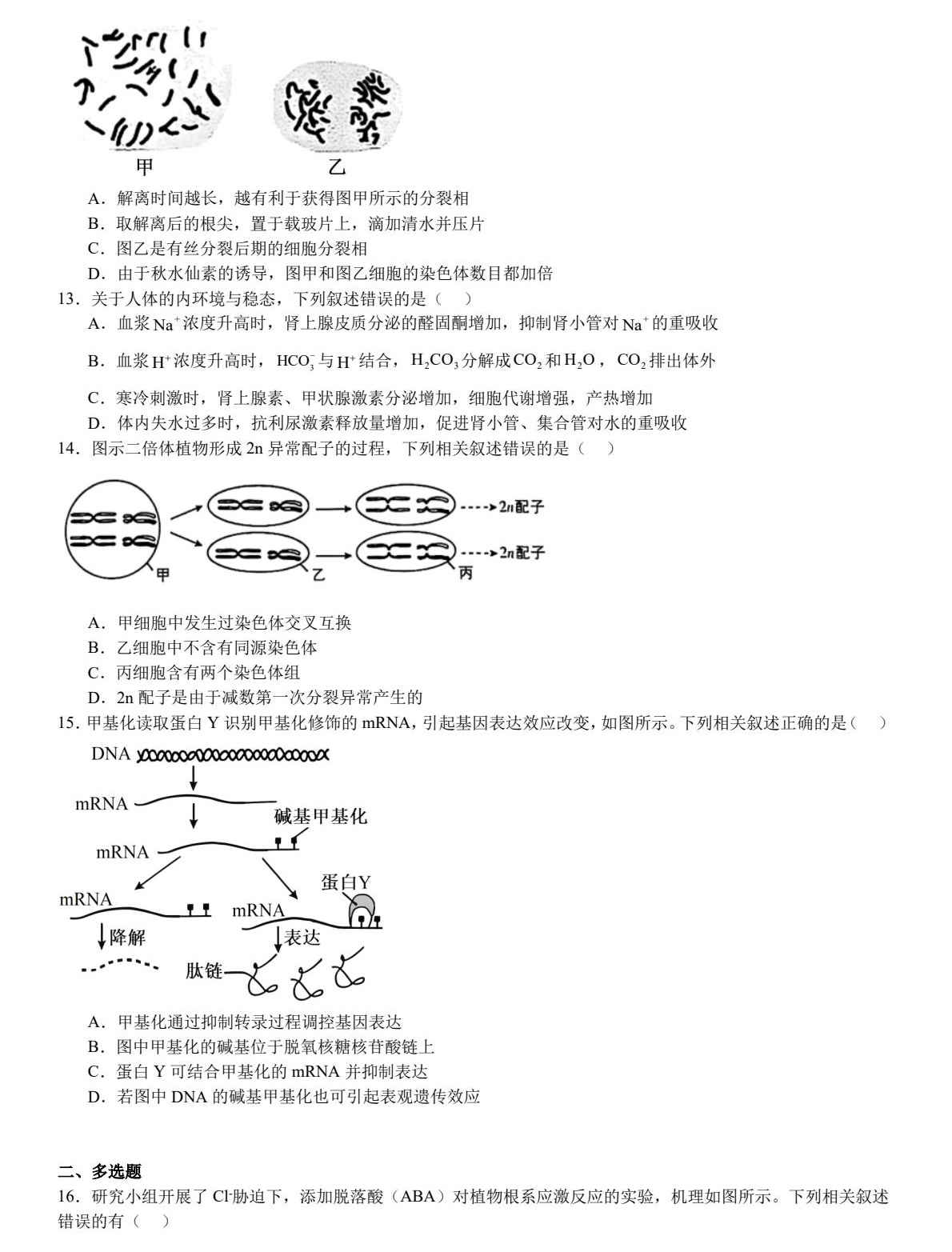 2025K¸߿ԇ}𰸽c}ͼֲֵ
