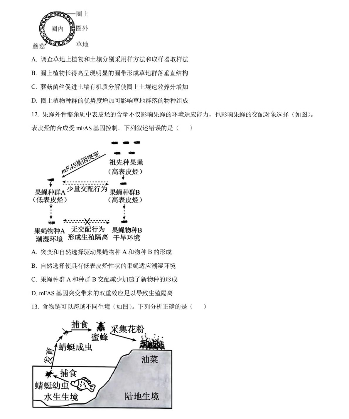 2025V|¸߿ԇ}𰸽c(din)}ͼֲֵ