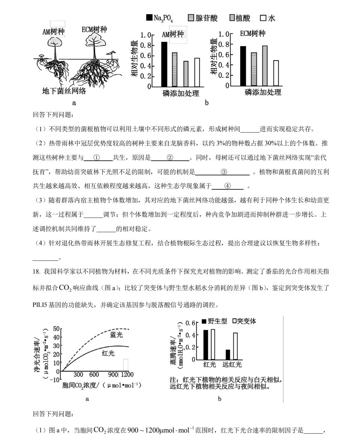 2025V|¸߿ԇ}𰸽c(din)}ͼֲֵ