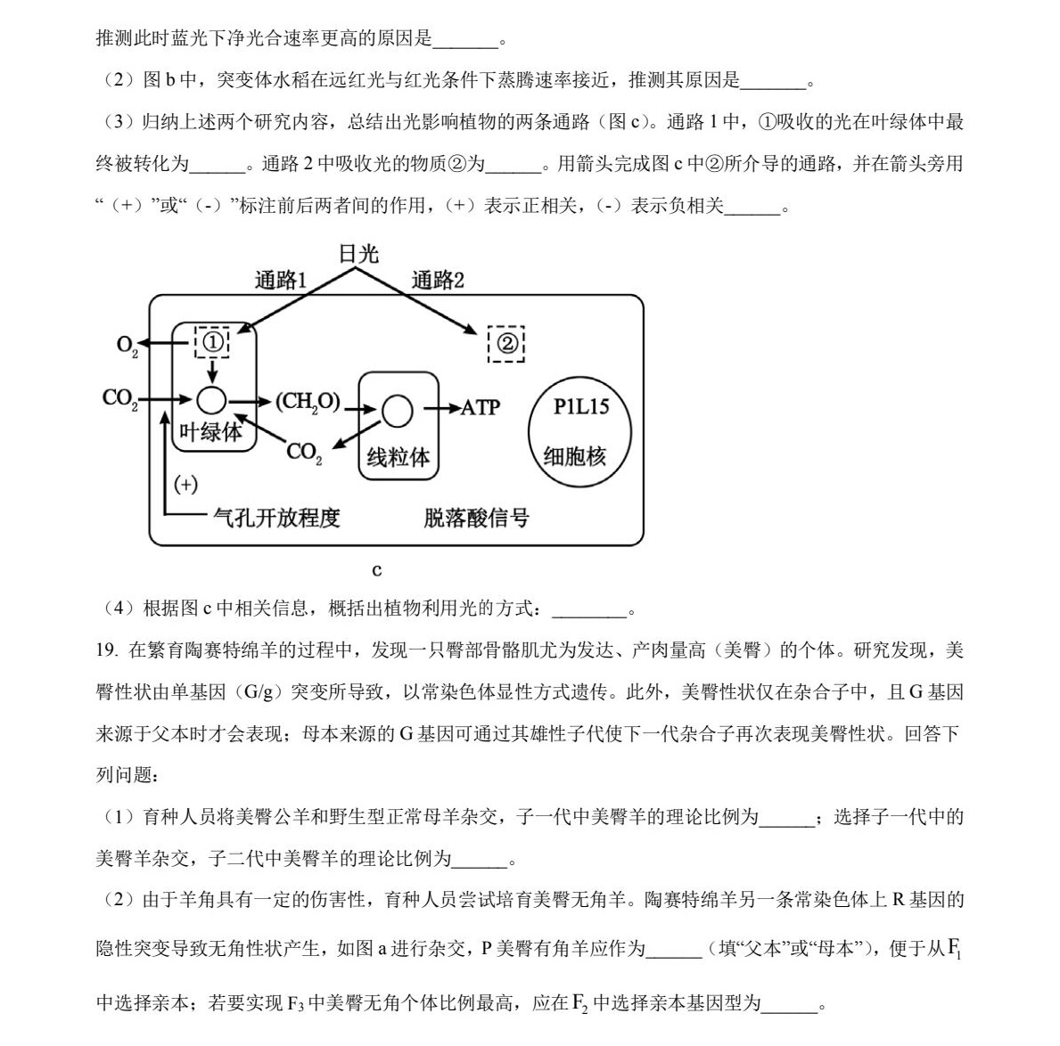 2025V|¸߿ԇ}𰸽c(din)}ͼֲֵ
