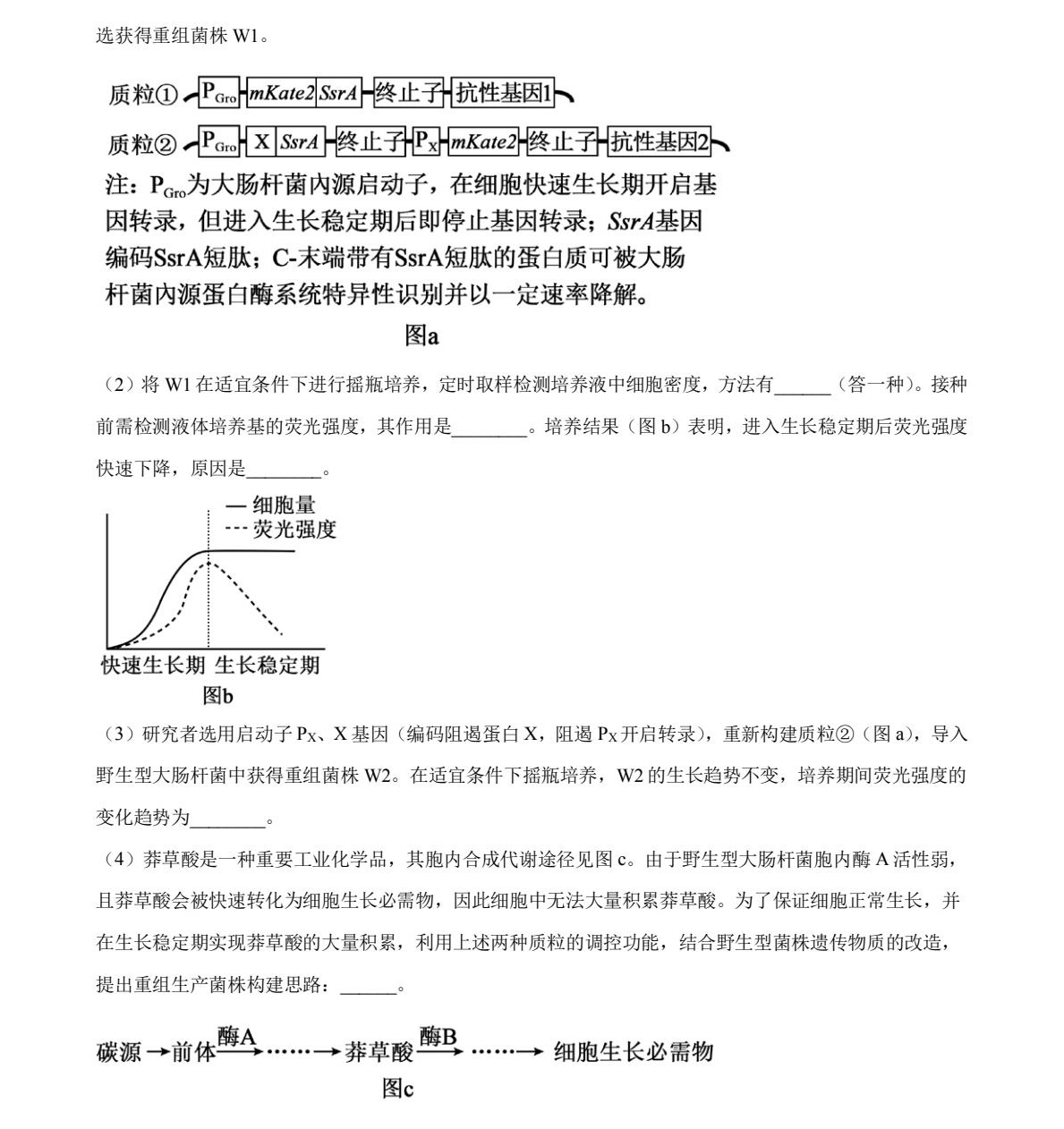 2025V|¸߿ԇ}𰸽c(din)}ͼֲֵ