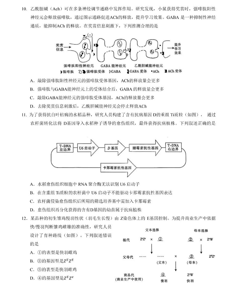 2025¸߿ԇ}𰸽c}ͼֲֵ