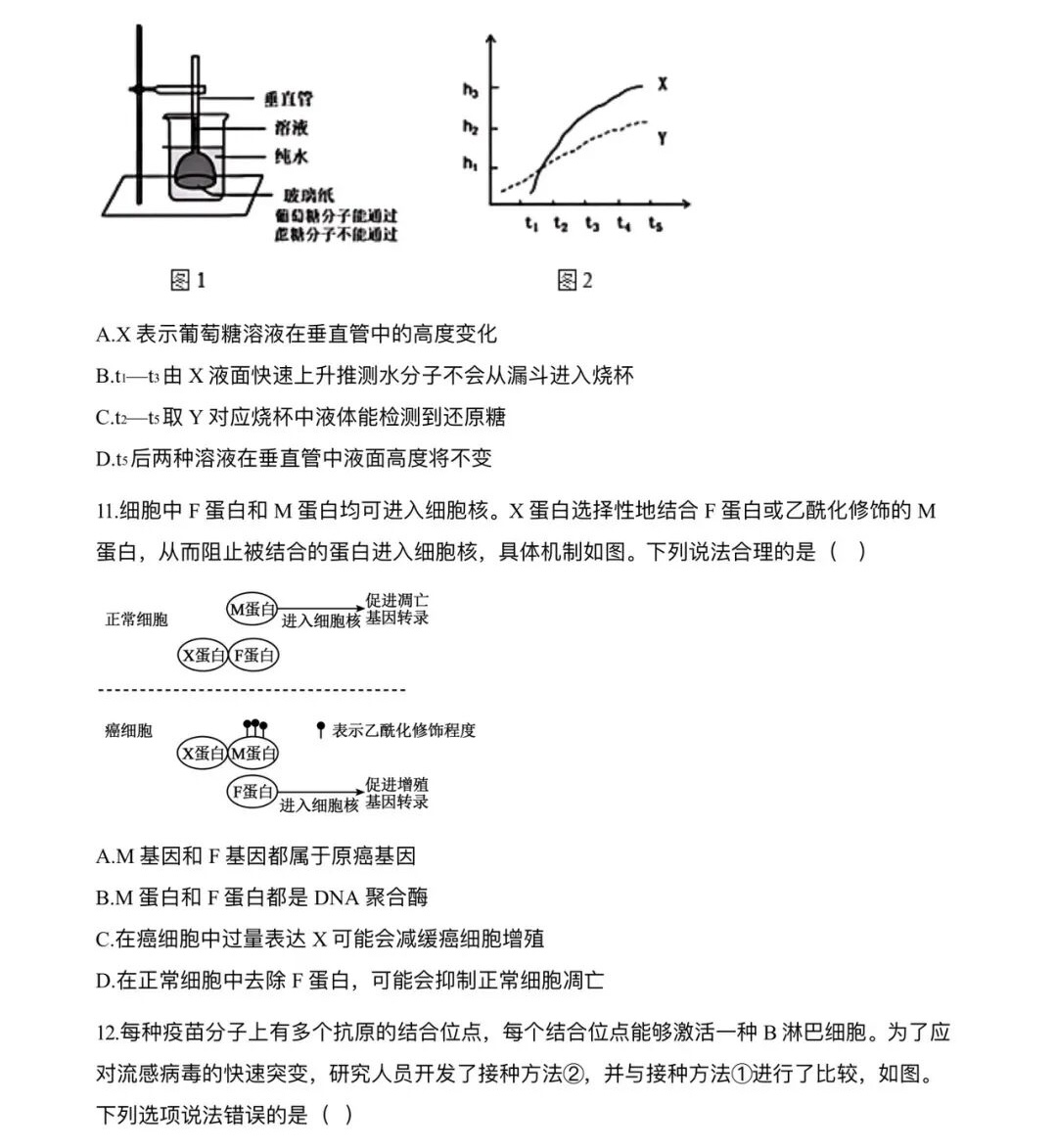 2025ؑc¸߿ԇ}𰸽c}ͼֲֵ
