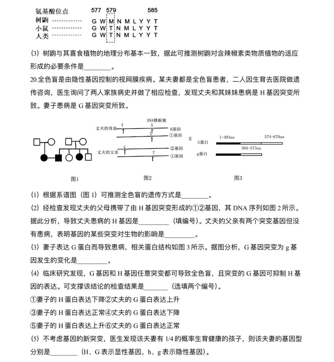 2025ؑc¸߿ԇ}𰸽c}ͼֲֵ