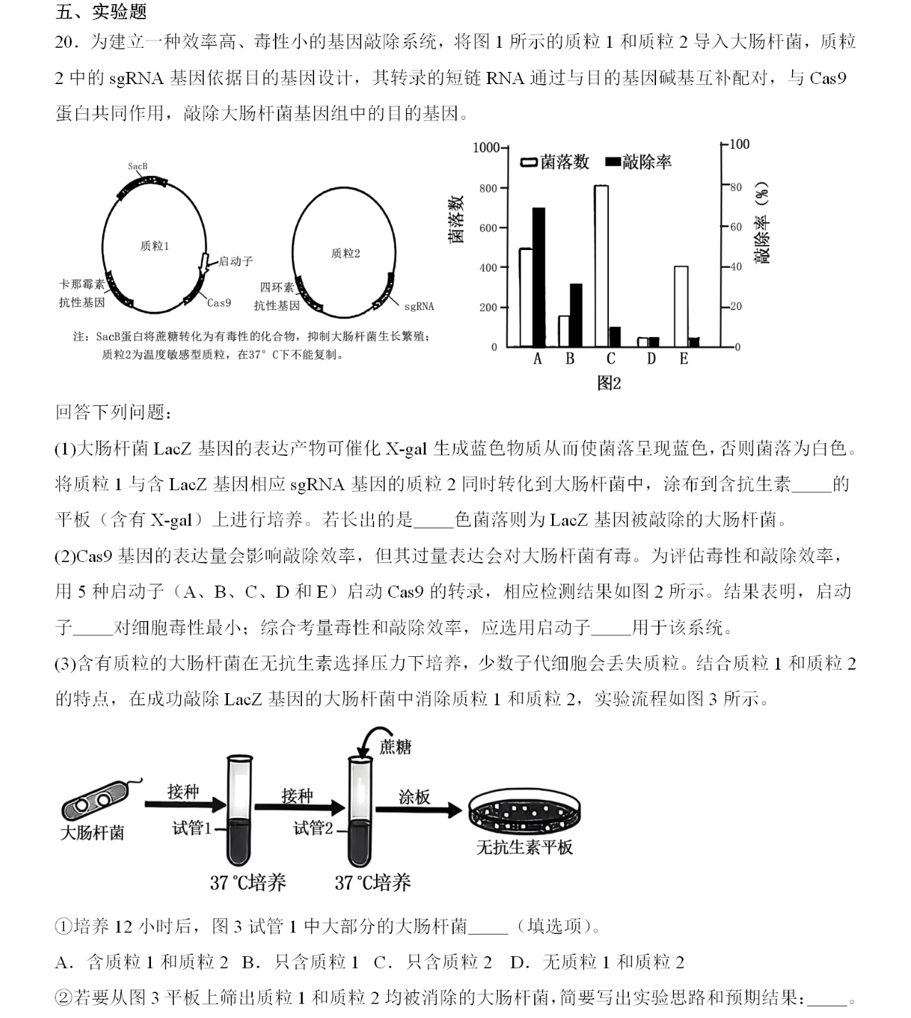 2025¸߿ԇ}𰸽c}ͼֲֵ