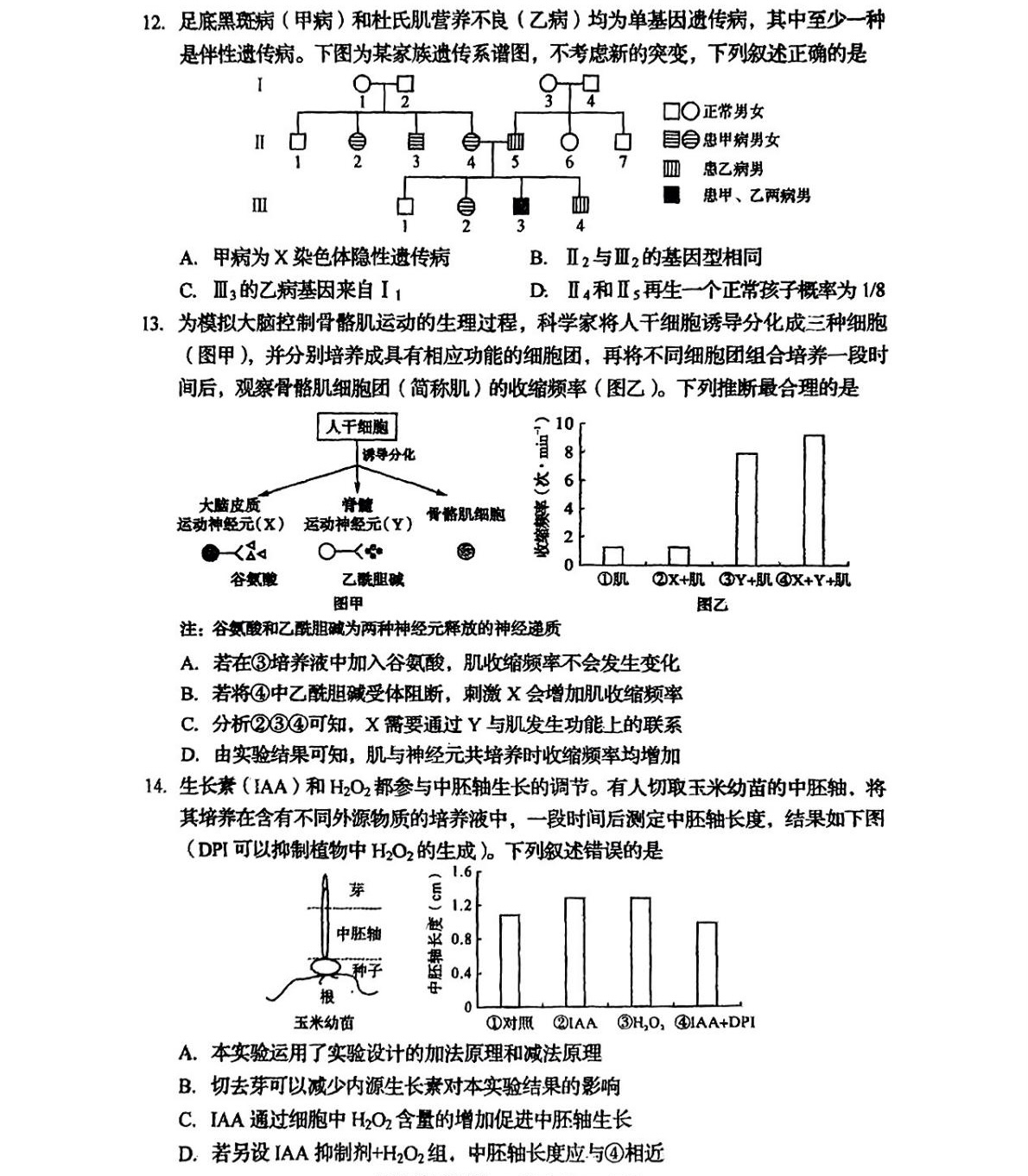 2025Ĵ¸߿ԇ}𰸽c}ͼֲֵ