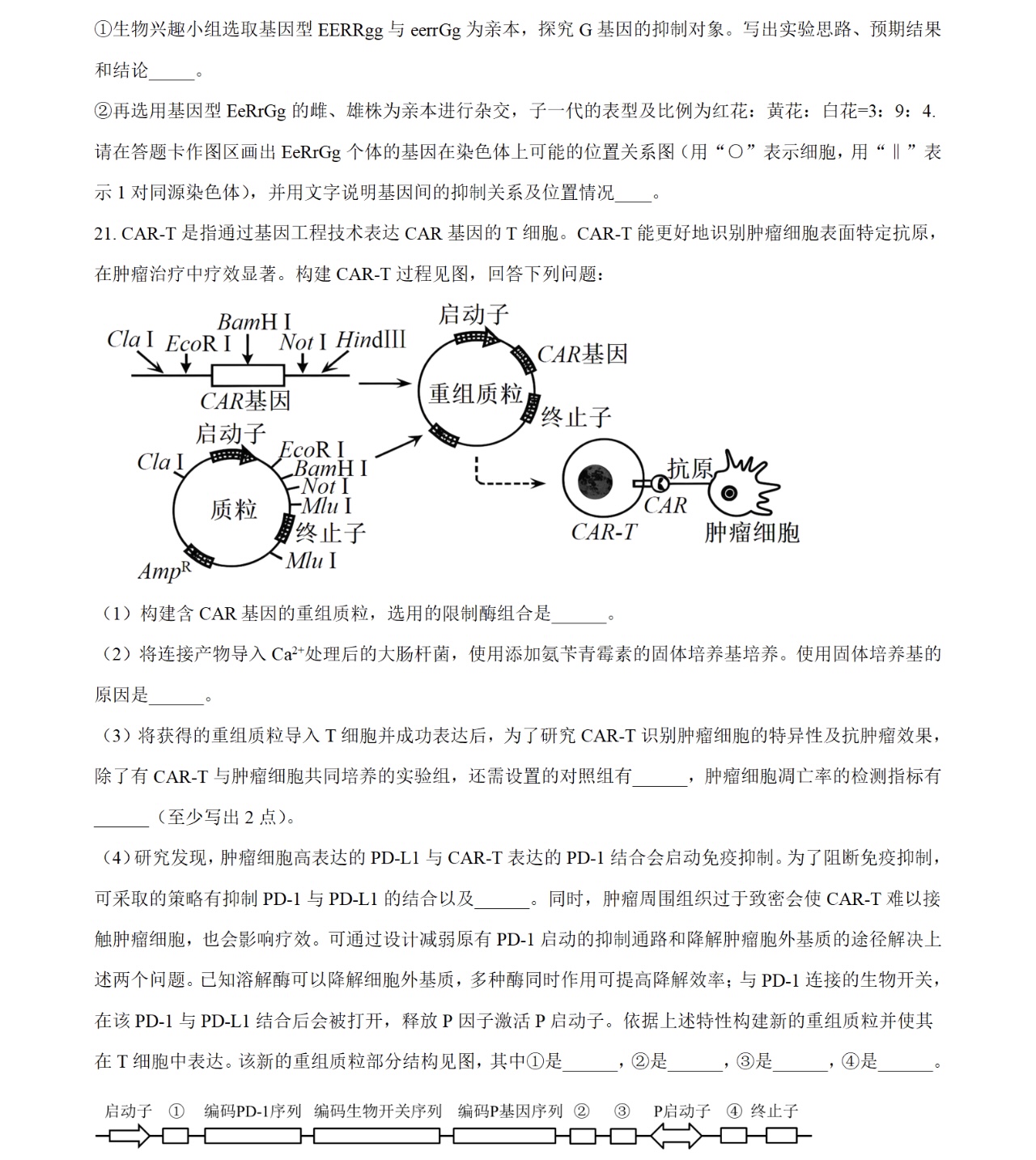 1763366037988396.jpg 2025廣西新高考生物試卷真題及答案解析,附考點(diǎn)題型及分值分布